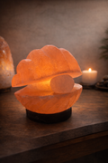 Lámpara de Sal del Himalaya — Concha con Perla